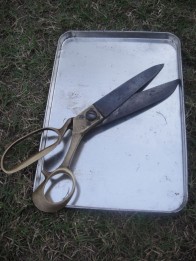 stockvault-scissors113571