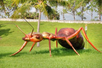 Giant Ant, West Palm Beach, Florida, January 2009